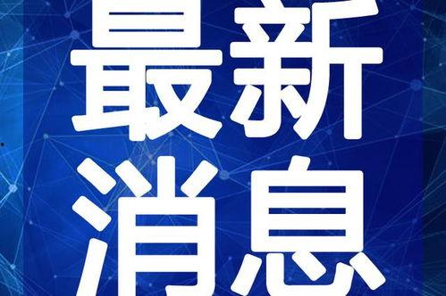 杭州钱哥最新爆料视频,最新爆料视频深度解析