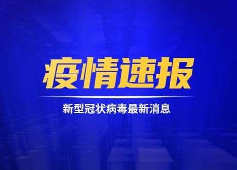 蓝厂最新系统爆料消息新闻,颠覆性升级,引领科技新潮流