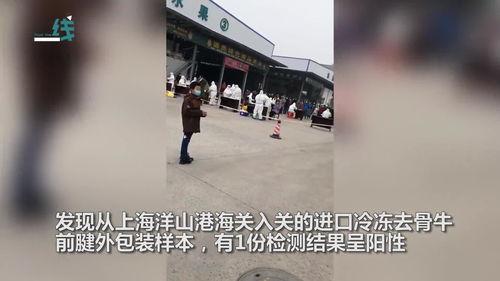 湖北荆门爆料新闻最新消息,突发事件引发关注,详情即将揭晓!